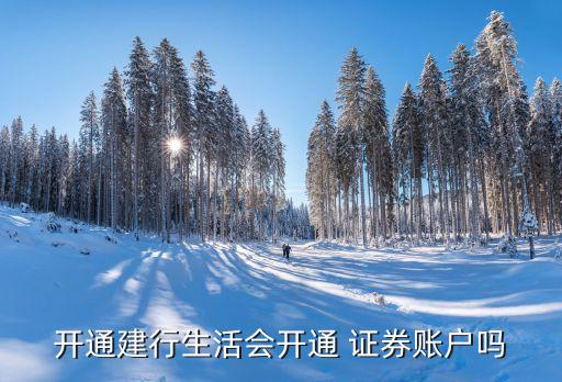 建設銀行有經營證券嗎