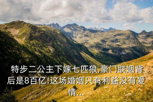  特步二公主下嫁七匹狼,豪門聯姻背后是8百億!這場婚姻只有利益沒有愛情...