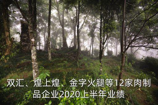 雙匯、煌上煌、金字火腿等12家肉制品企業(yè)2020上半年業(yè)績