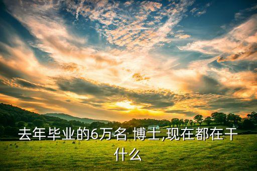 去年畢業的6萬名 博士,現在都在干什么