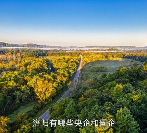 洛陽欒川鉬業集團有限責任公司