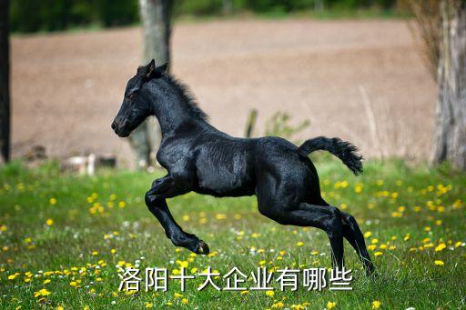  洛陽十大企業有哪些