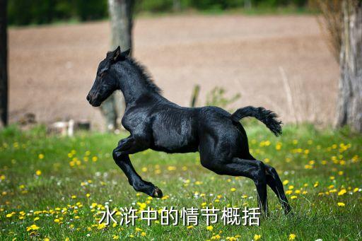 水滸中的情節概括