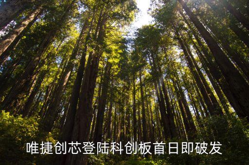 聯發科股票市值,臺灣聯發科市值