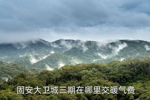 固安九通基業公用事業有限公司