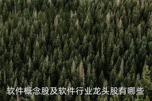 軟件概念股及軟件行業龍頭股有哪些