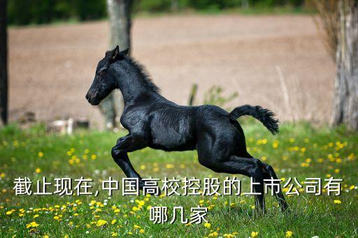 截止現在,中國高校控股的上市公司有哪幾家