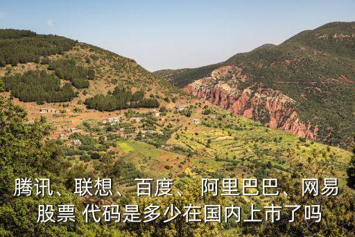 騰訊、聯(lián)想、百度、 阿里巴巴、網(wǎng)易 股票 代碼是多少在國內(nèi)上市了嗎