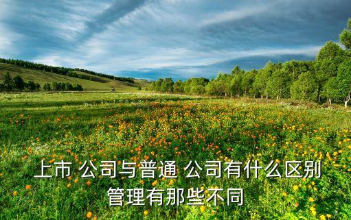  上市 公司與普通 公司有什么區別管理有那些不同