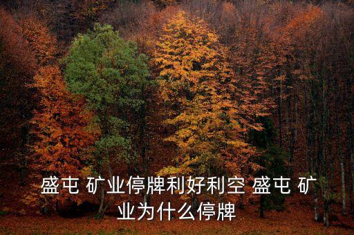 盛屯礦業集團股份有限公司怎么樣,四川盛屯礦業集團股份有限公司王國棟