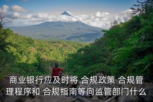 商業銀行應及時將 合規政策 合規管理程序和 合規指南等向監管部門什么
