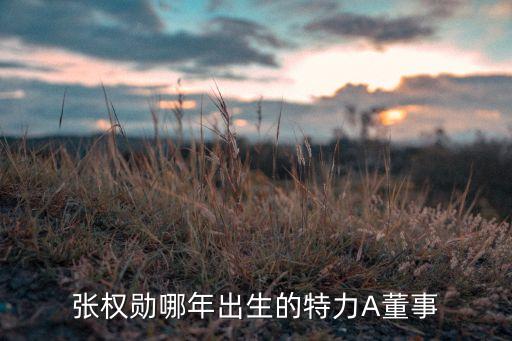 深圳市通產集團監事會