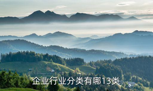 企業行業分類有哪13類