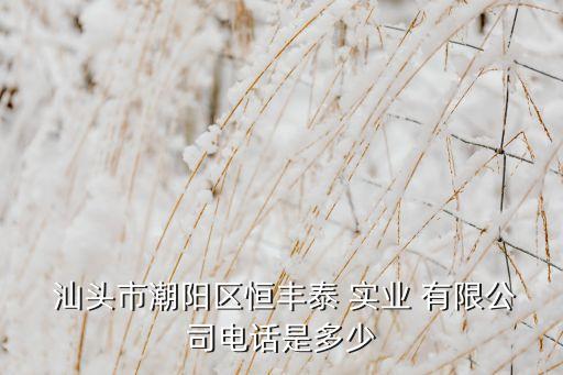  汕頭市潮陽區恒豐泰 實業 有限公司電話是多少