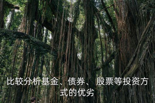 比較分析基金、債券、 股票等投資方式的優(yōu)劣