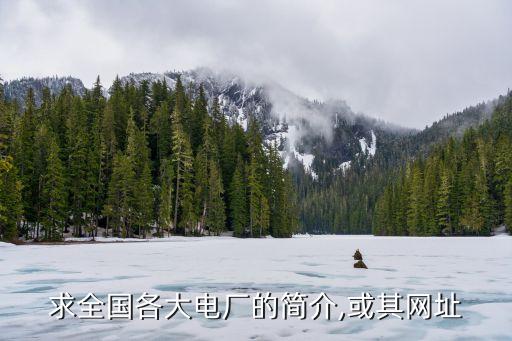 中國華電半山發電有限公司電話,華電新疆發電有限公司