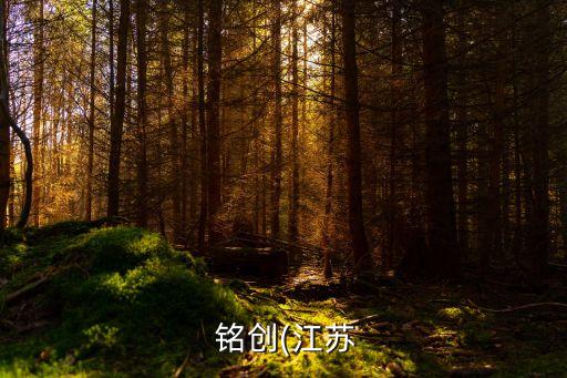 上海銘創股票,上海雅創股票