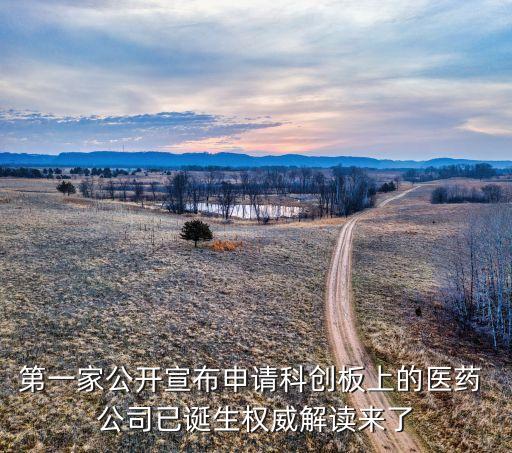 第一家公開宣布申請科創板上的醫藥 公司已誕生權威解讀來了