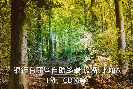  銀行有哪些自助終端 設備,比如ATM、CDM等