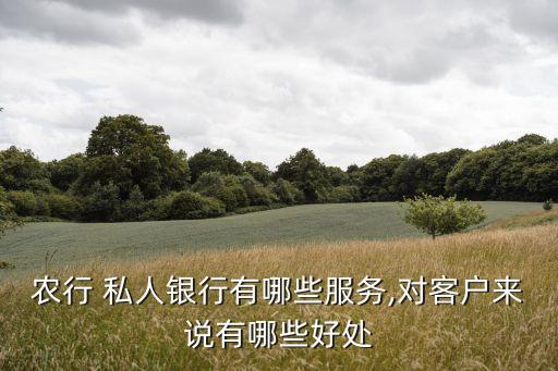 農行 私人銀行有哪些服務,對客戶來說有哪些好處