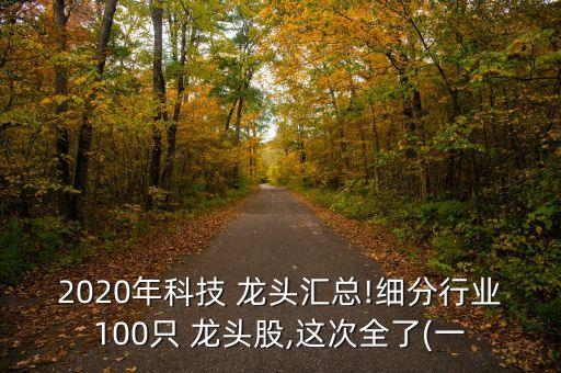 2020年科技 龍頭匯總!細分行業100只 龍頭股,這次全了(一