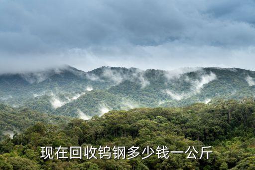 現在回收鎢鋼多少錢一公斤