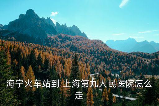 海寧火車站到 上海第九人民醫院怎么走