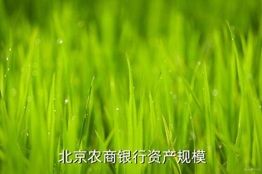  北京農商銀行資產規模