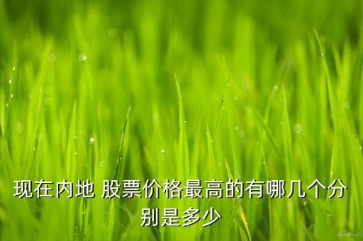 現在內地 股票價格最高的有哪幾個分別是多少