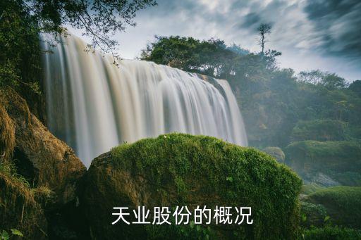  天業股份的概況