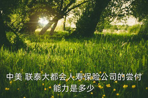 上海聯泰基金