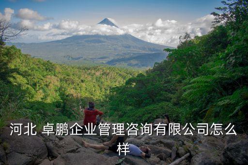 卓鵬投資提現困難