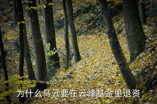 上海云鋒新創