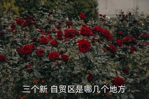 北京自貿區有可能,北京金盞自貿區