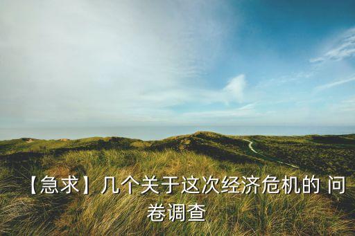 【急求】幾個關于這次經濟危機的 問卷調查