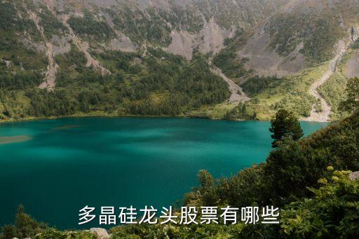 江蘇中能硅業科技發展有限公司公司