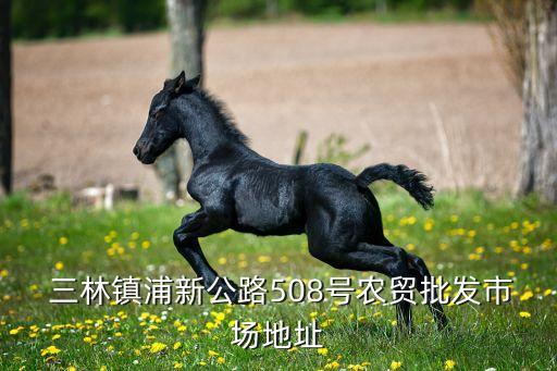  三林鎮浦新公路508號農貿批發市場地址