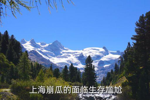 上海三林現代農業發展有限公司,湖北現代農業發展有限公司