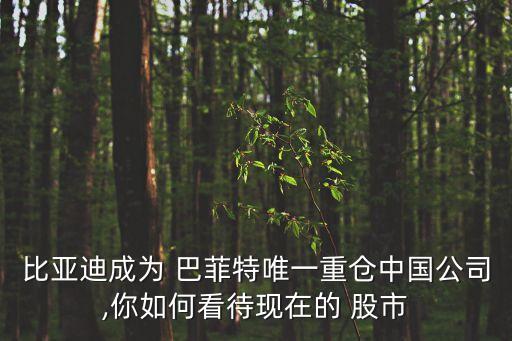 比亞迪成為 巴菲特唯一重倉中國公司,你如何看待現在的 股市