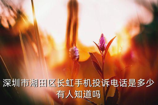 四川綿陽國虹通訊數碼集團
