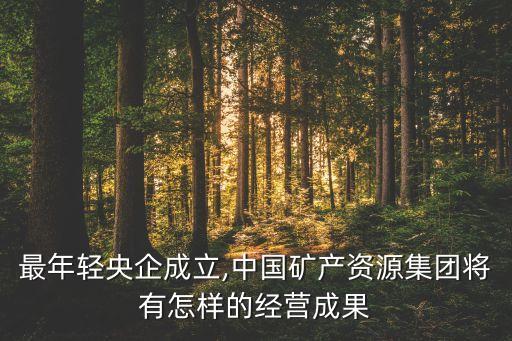 中國新興礦業公司,貴州新興宏能礦業公司