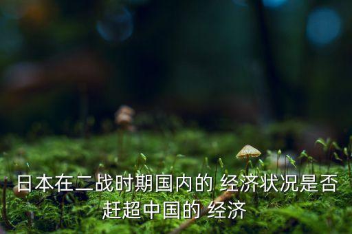 日本在二戰時期國內的 經濟狀況是否趕超中國的 經濟