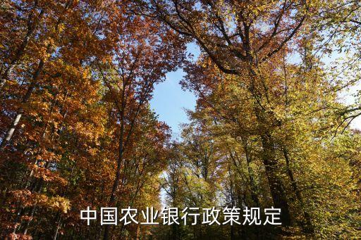 中國農業銀行政策規定
