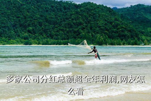 多家公司分紅總額超全年利潤,網友怎么看