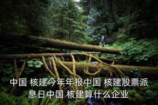 中國 核建今年年報中國 核建股票派息日中國 核建算什么企業