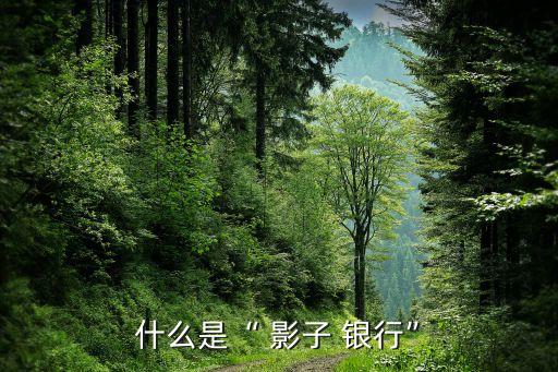 銀行的影子,銀行影子業務也會引起銀行負債規模的擴大
