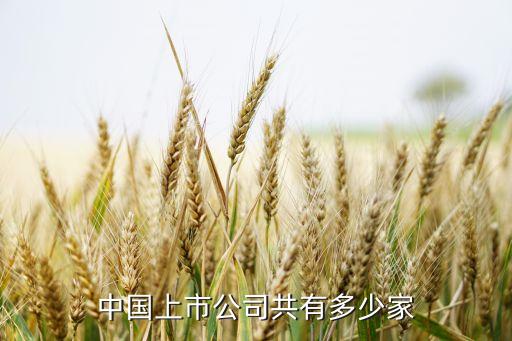 上峰水泥投資影視業,浙江富潤投資上峰水泥