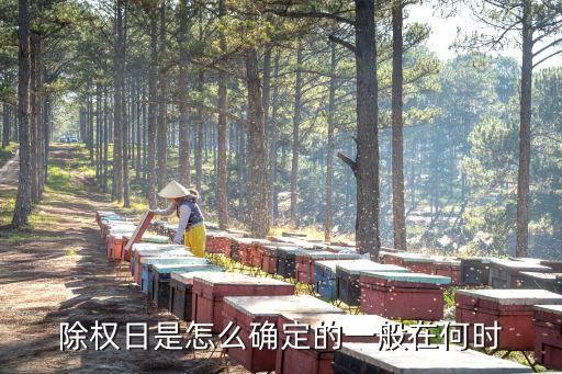 除權日是怎么確定的一般在何時