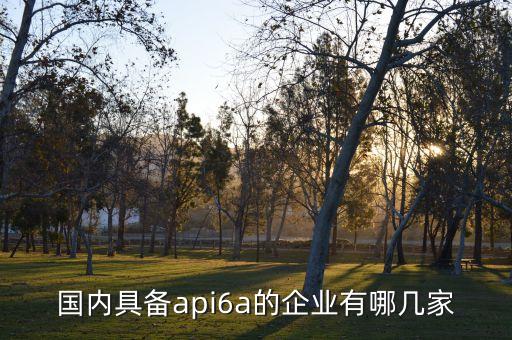 國內具備api6a的企業有哪幾家