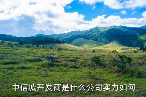  中信城開發商是什么公司實力如何